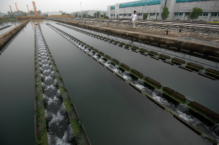 新安江水域苯酚濃度下降 水廠水質(zhì)達標 超市供水充足