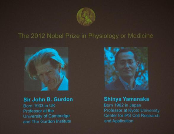 英、日科學(xué)家分享2012年諾貝爾生理學(xué)或醫(yī)學(xué)獎