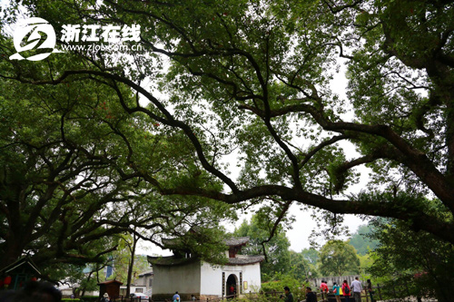 古堰畫鄉(xiāng)靈氣之源：微博互動(dòng) 亮點(diǎn)無(wú)處不在