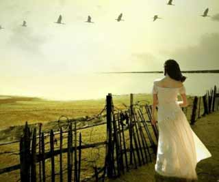 Loneliness is a health killer<BR>孤獨是健康的一大殺手