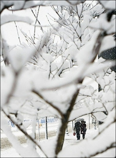 民生百態：美國中西部暴風雪下的快樂與痛苦