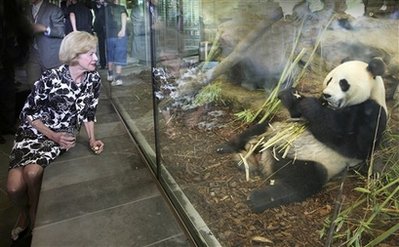 基因組圖譜:大熊貓不吃肉是因?yàn)閲L不到肉味