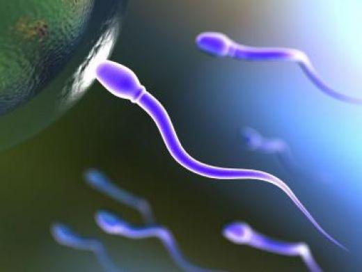 美國男子為女同性戀情侶捐精 三年后被要求支付撫養費