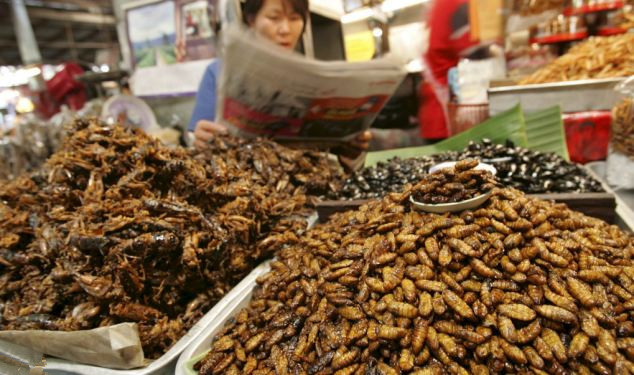 英“昆蟲(chóng)罐頭”成食客餐桌新寵兒