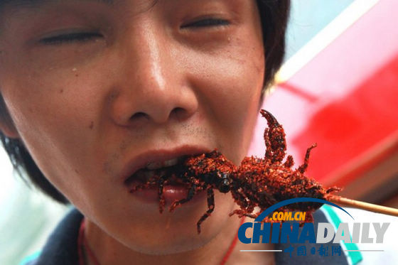 世界各地超級(jí)恐怖的蟲子大餐（組圖）
