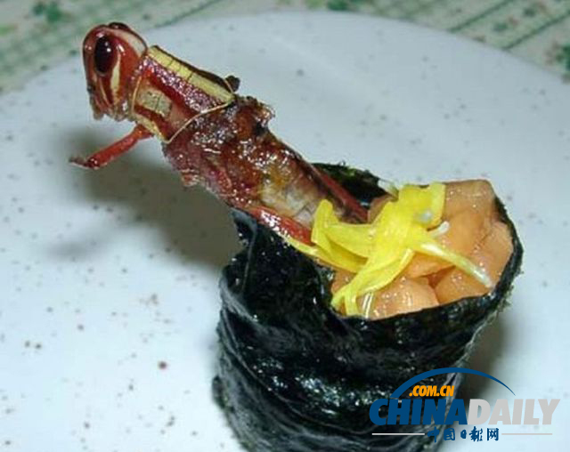 世界各地超級(jí)恐怖的蟲(chóng)子大餐（組圖）