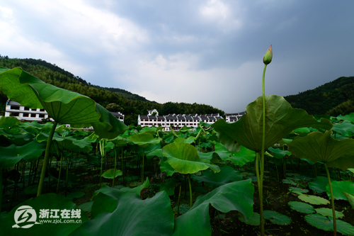 被“盤(pán)下”的利山村，一處秀山麗水的養(yǎng)生福地
