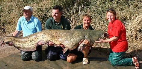 英國盲人婦女捕獲近百公斤重鯰魚 創兩項世界紀錄