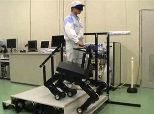 爬樓梯、躲障礙樣樣行 日本導(dǎo)盲機(jī)器狗將惠及萬千盲人