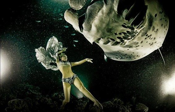 最后的舞蹈：美女拍水下唯美照呼吁保護(hù)魔鬼魚