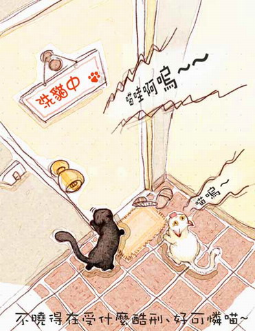 洗貓中