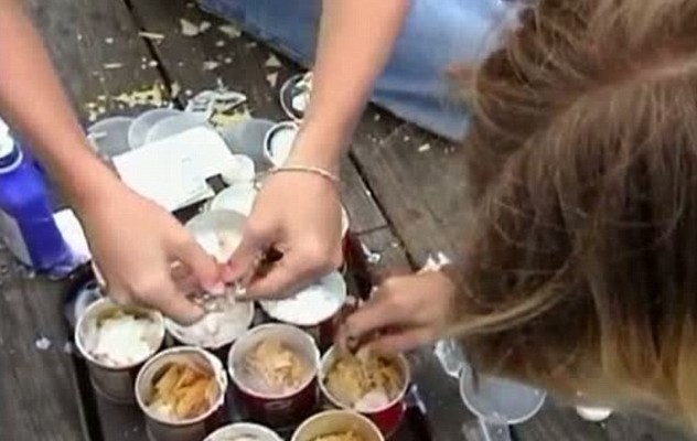 美國(guó)少年海灘惡搞喂海鷗瀉藥 鳥糞雨從天而降游客慘遭襲