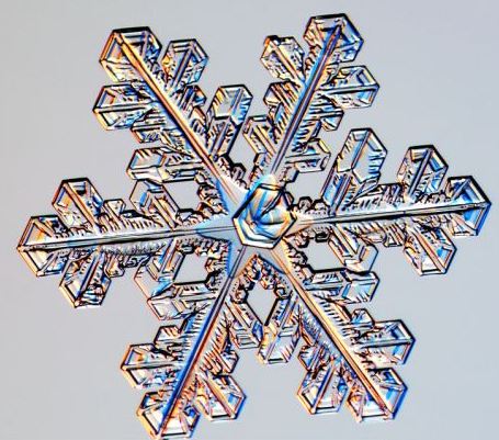 怎一個美字了得！美國科學家帶你圣誕看雪花(圖)