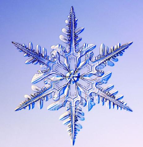 怎一個(gè)美字了得！美國(guó)科學(xué)家?guī)闶フQ看雪花(圖)