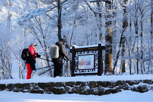 黃山風景區開展主題酬賓周活動 本地市民免費游