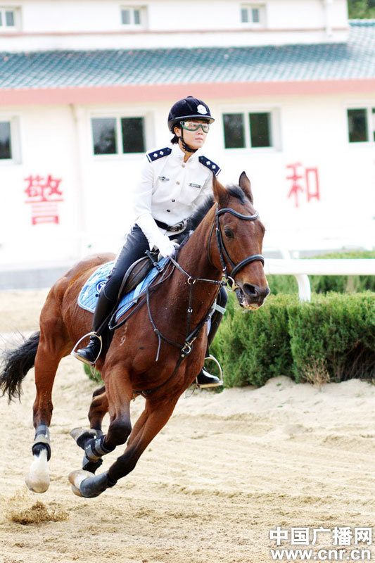 每匹馬養(yǎng)護(hù)成本2500元/月?探秘大連女騎警訓(xùn)練基地