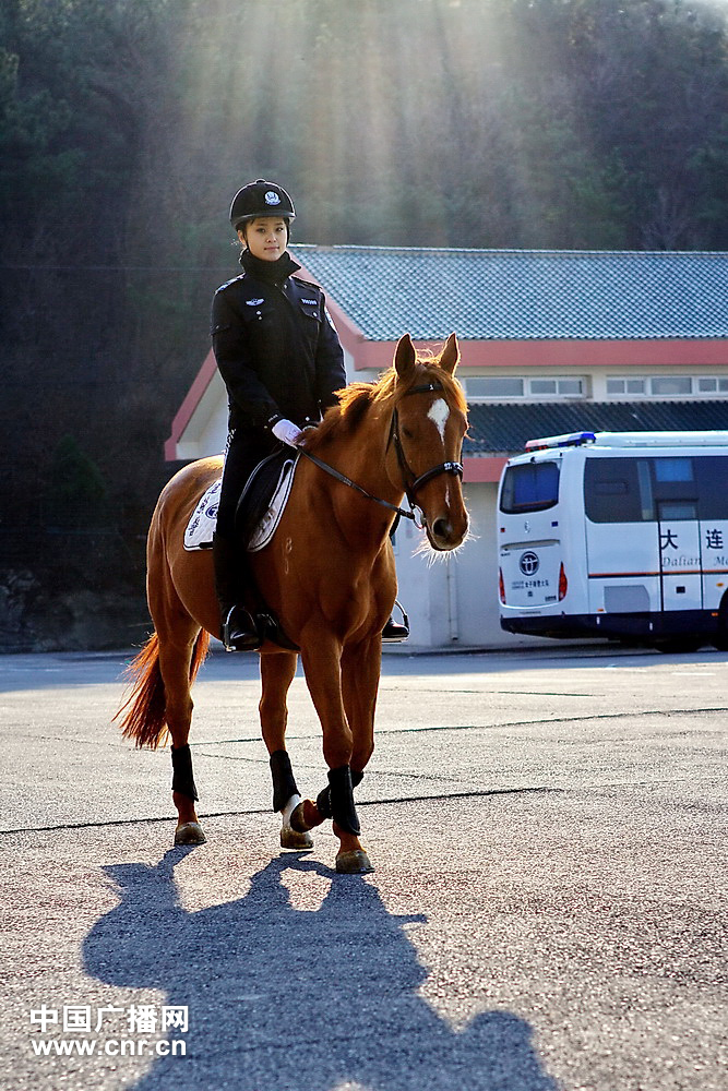 每匹馬養護成本2500元/月?探秘大連女騎警訓練基地