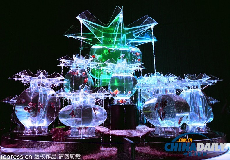 日本東京“藝術水族館”展覽開幕 展品精美別致