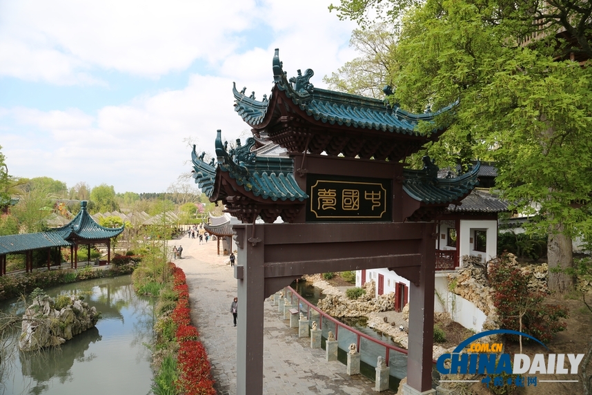 中國(guó)大熊貓即將落戶歐洲門(mén)戶比利時(shí)