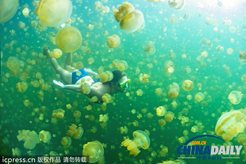 比基尼美女與水母同游 夢(mèng)幻場(chǎng)景亦幻亦真 <BR>