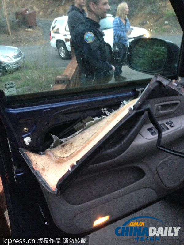 美國車主忘鎖車門 饑餓熊“乘虛而入”覓食反被鎖