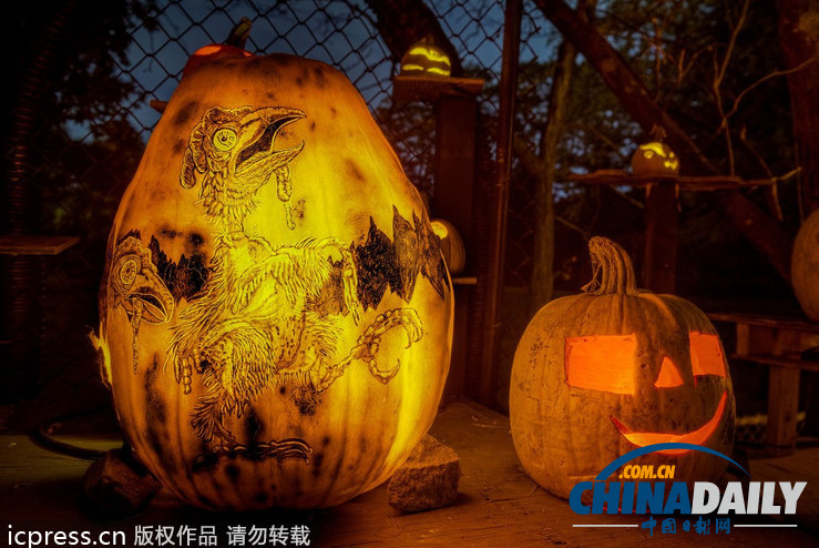 美國(guó)舉行創(chuàng)意南瓜燈展 數(shù)千作品讓人眼花繚亂