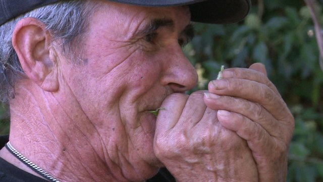西班牙男子憶“狼人”童年生活（環球周末）