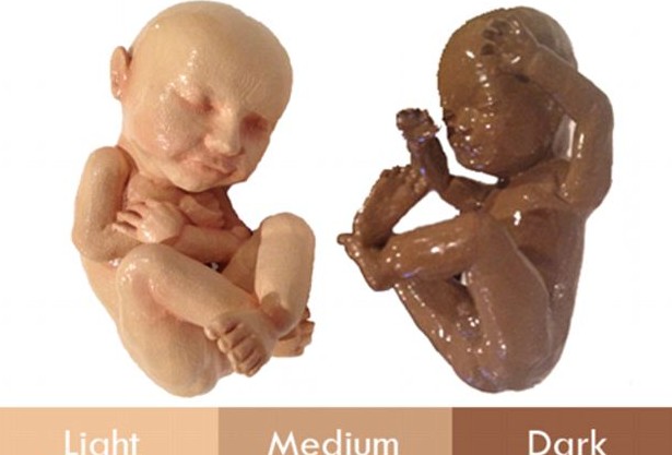 3D打印帶你見未出生胎兒！體位表情皮膚性別皆可見