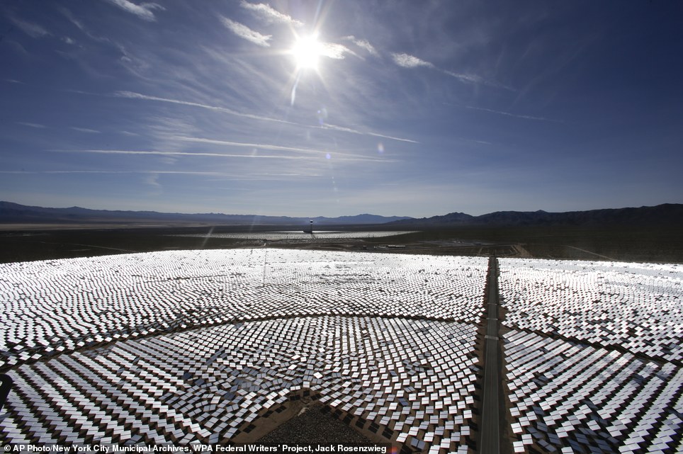 世界最大太陽能發電廠挨批 飛鳥誤闖后羽毛被烤焦
