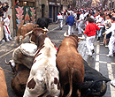 Pamplola Bull-running Fiesta（西班牙奔牛節）
