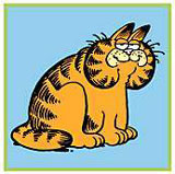Garfield 2《加菲貓》2(精講之二)