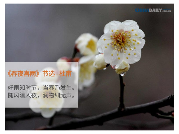 關于春天的五首中國古詩（組圖）