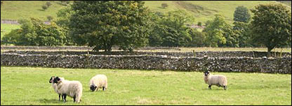 Farming in the UK 農場營作