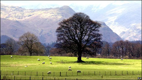 The British Countryside 音畫英國：動物音樂會