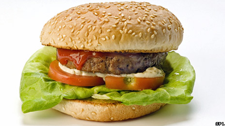 World's first lab-grown burger 世界首創實驗室人造漢堡