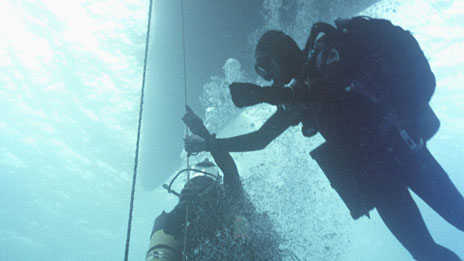 Protecting shipwrecks 保護沉船殘骸