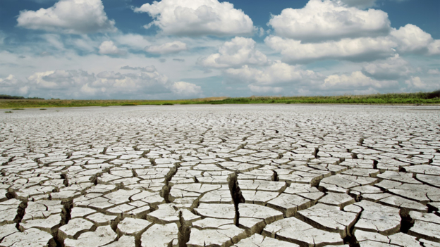 COP21: The economics behind climate change 巴黎氣候大會：氣候變化背后的經濟變化