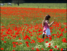 Remembrance Day 陣亡將士紀念日
