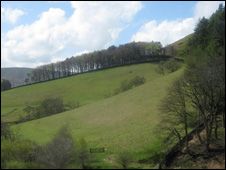 The British Countryside 英國的鄉村