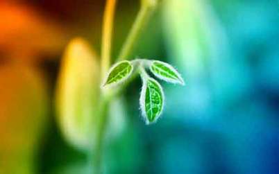 打破常規 開始新生活 Renew your life!Change Up the Routine
