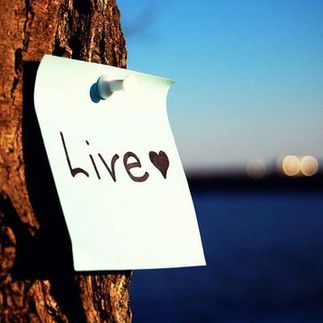 Purpose in life 如何找到人生目標?