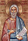 St Andrew's Day(圣安德魯日)