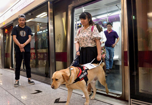 “導盲犬”可乘坐北京地鐵