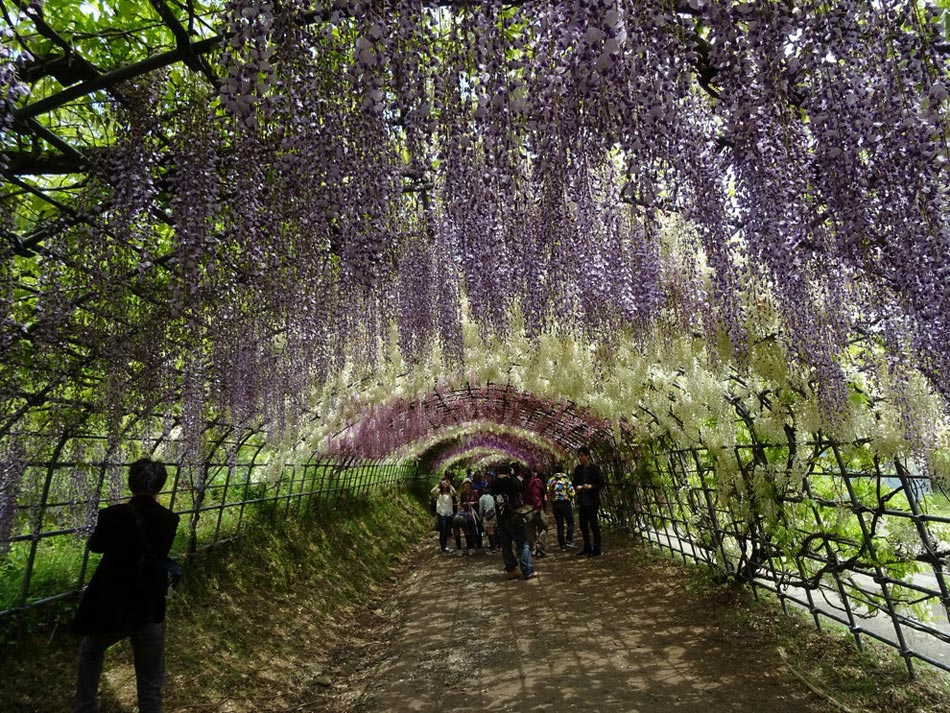 繽紛、靈動、斑斕：世界上最美的18座花園
