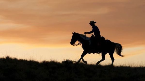 在挪威，texas不只是德克薩斯