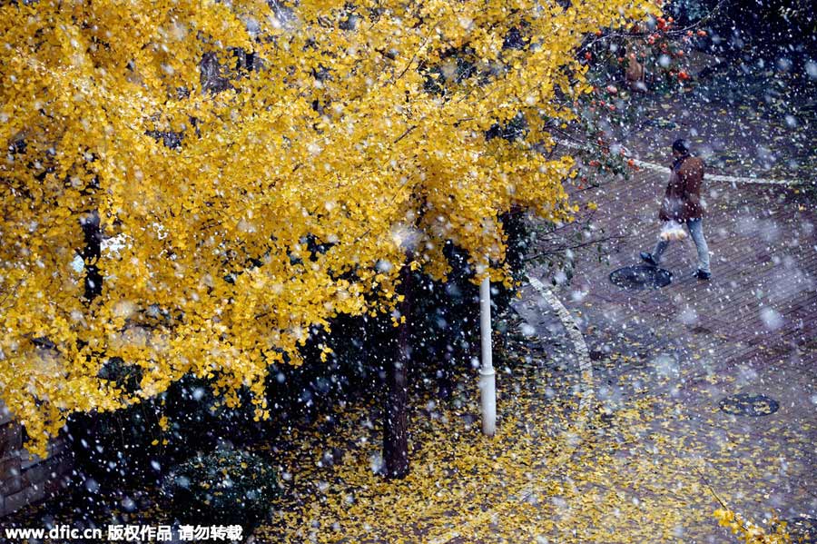 雪后居庸關長城美景（組圖）