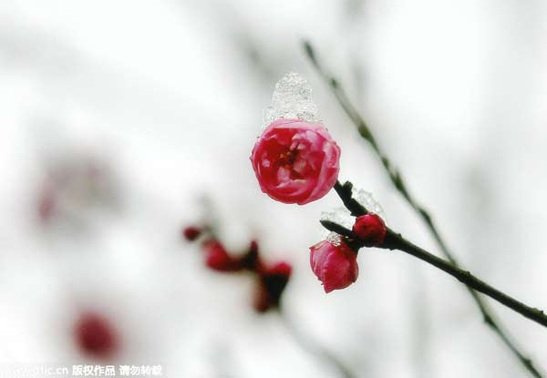 “立春”九大風(fēng)俗 雞蛋為啥能立起來？