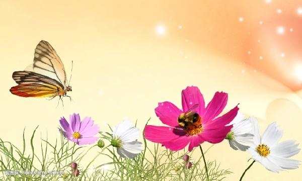 春天，一起來(lái)讀詩(shī)，雙語(yǔ)的！