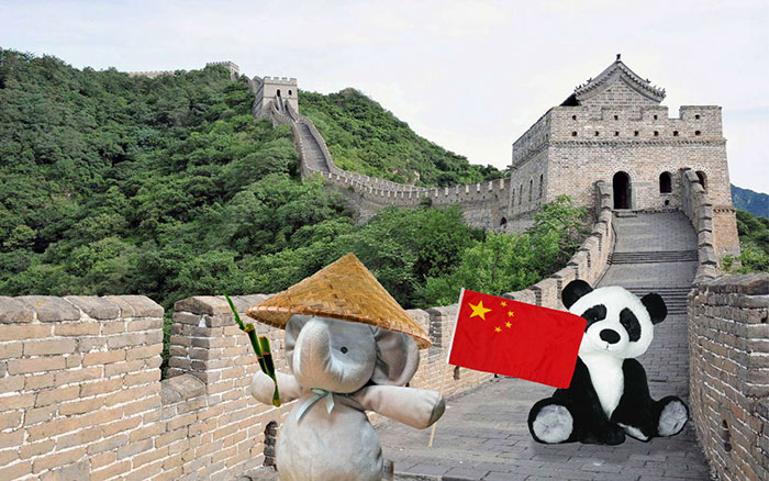 寶貝，你的小象不是丟了，而是去環游世界了（組圖）