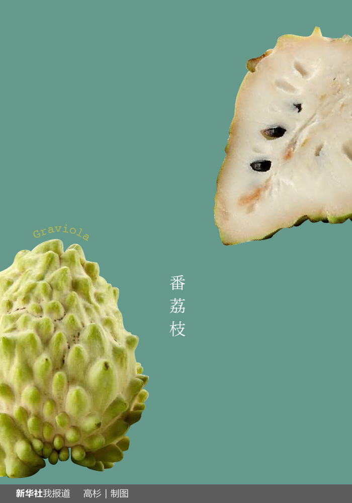 “瘋狂水果城”里約：給你點(diǎn)顏色瞧瞧！